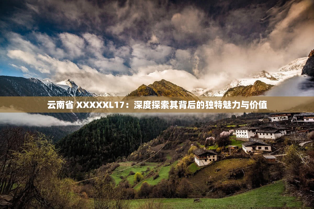 云南省 XXXXXL17：深度探索其背后的独特魅力与价值
