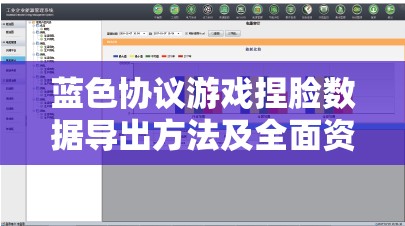 蓝色协议游戏捏脸数据导出方法及全面资源管理优化策略