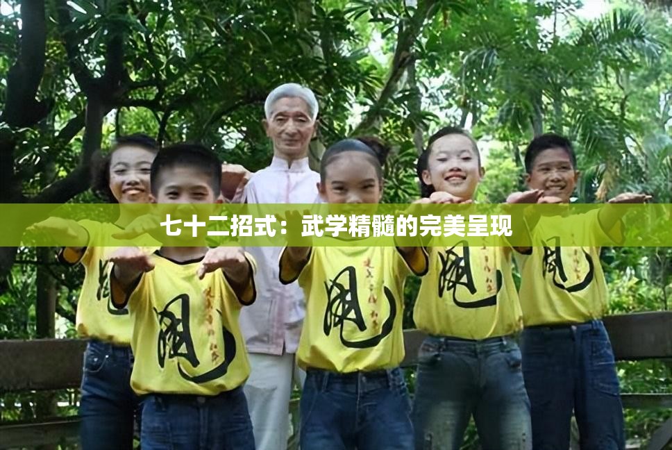 七十二招式：武学精髓的完美呈现