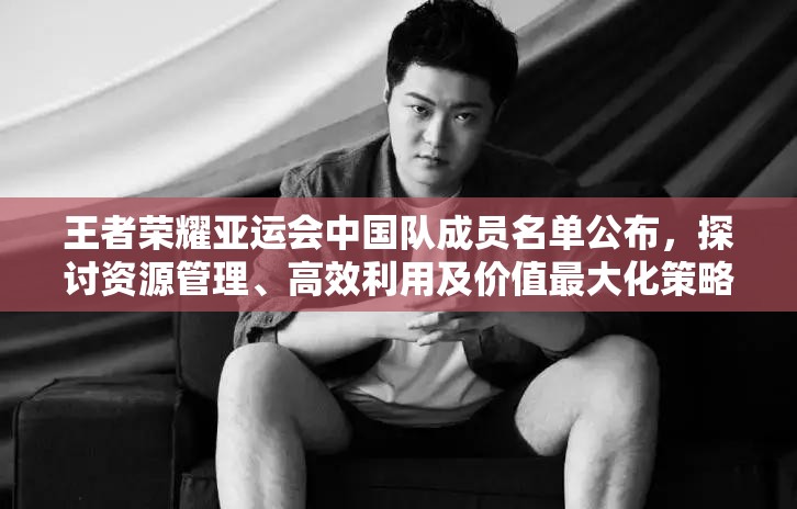 王者荣耀亚运会中国队成员名单公布，探讨资源管理、高效利用及价值最大化策略