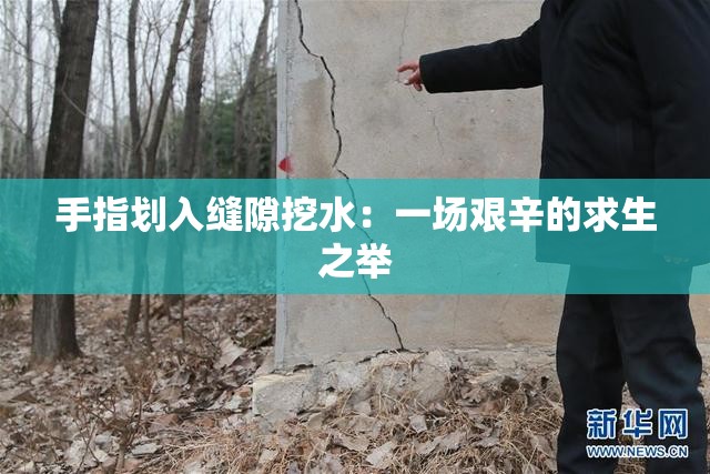 手指划入缝隙挖水：一场艰辛的求生之举