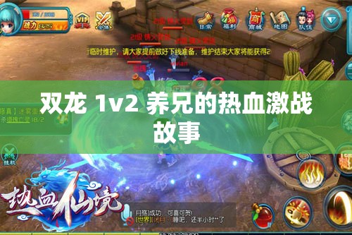 双龙 1v2 养兄的热血激战故事