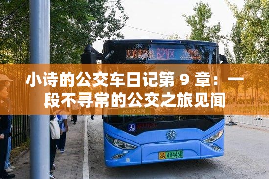 小诗的公交车日记第 9 章：一段不寻常的公交之旅见闻