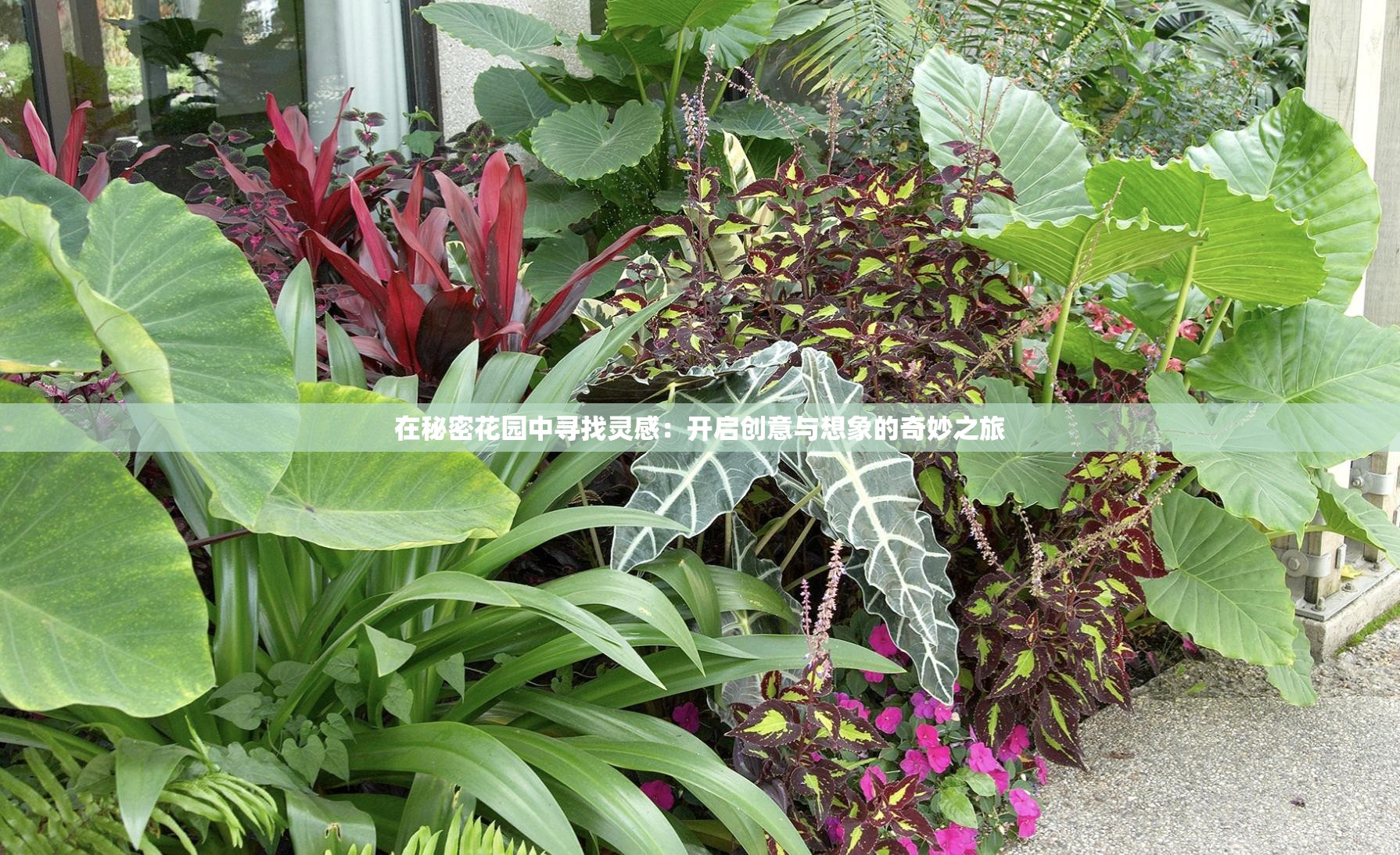 在秘密花园中寻找灵感：开启创意与想象的奇妙之旅
