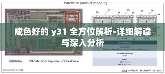 成色好的 y31 全方位解析-详细解读与深入分析