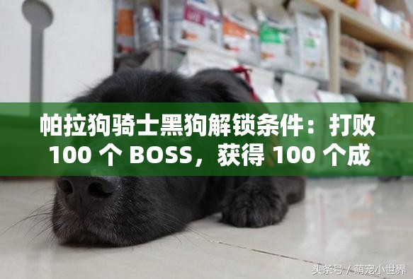 帕拉狗骑士黑狗解锁条件：打败 100 个 BOSS，获得 100 个成就，收集 100 个物品