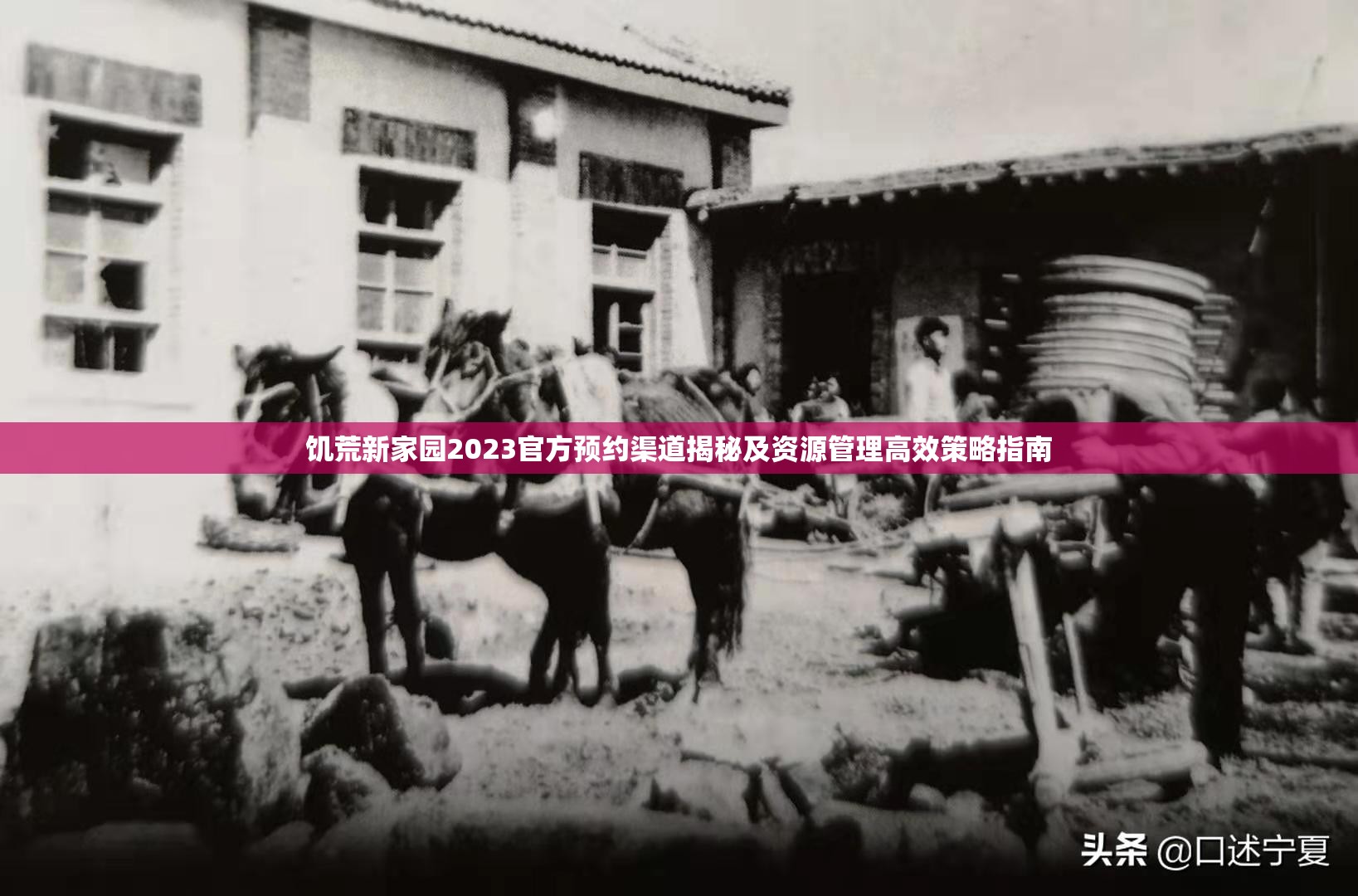 饥荒新家园2023官方预约渠道揭秘及资源管理高效策略指南