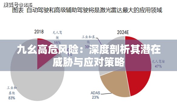 九幺高危风险：深度剖析其潜在威胁与应对策略