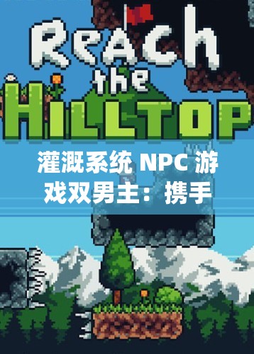 灌溉系统 NPC 游戏双男主：携手冒险共破重重难关