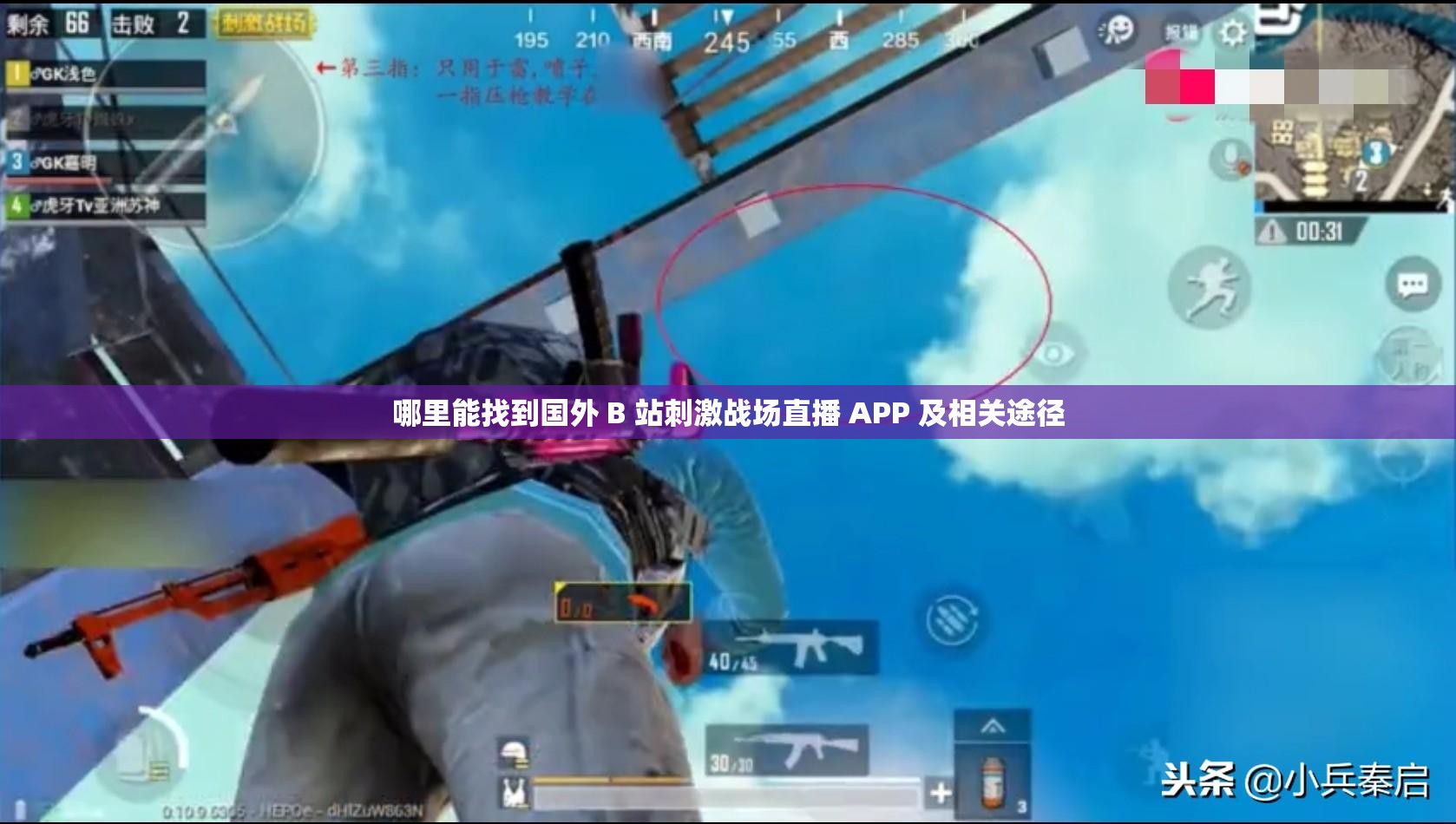 哪里能找到国外 B 站刺激战场直播 APP 及相关途径