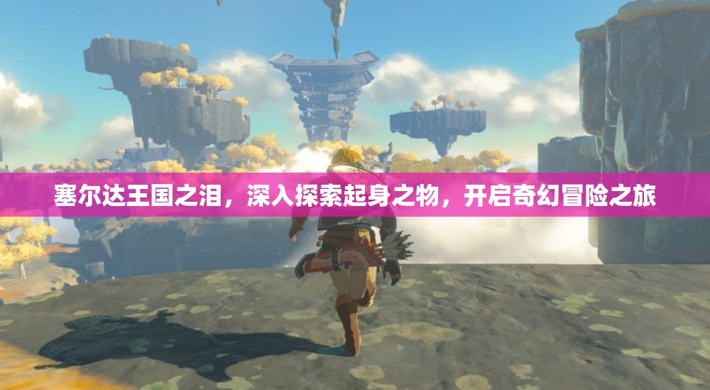 塞尔达王国之泪，深入探索起身之物，开启奇幻冒险之旅