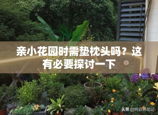 亲小花园时需垫枕头吗？这有必要探讨一下