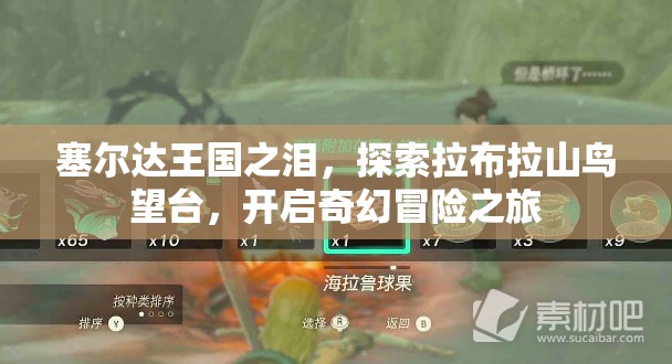 塞尔达王国之泪，探索拉布拉山鸟望台，开启奇幻冒险之旅