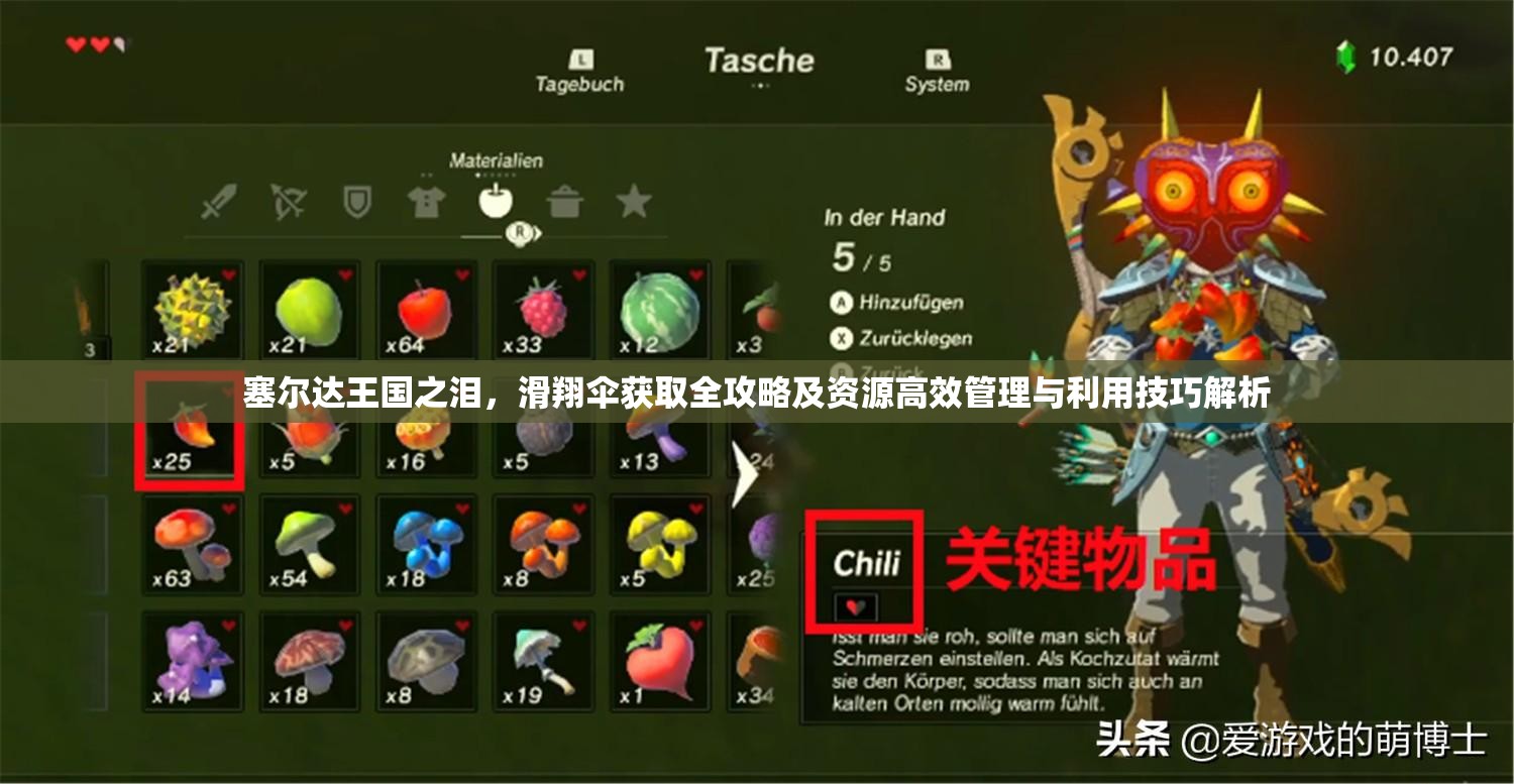 塞尔达王国之泪，滑翔伞获取全攻略及资源高效管理与利用技巧解析