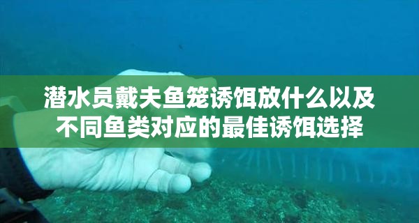 潜水员戴夫鱼笼诱饵放什么以及不同鱼类对应的最佳诱饵选择