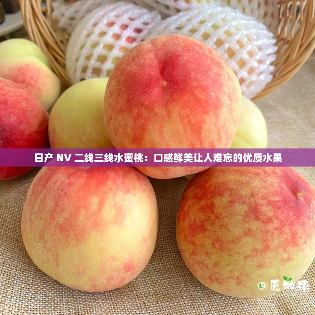 日产 NV 二线三线水蜜桃：口感鲜美让人难忘的优质水果