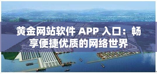 黄金网站软件 APP 入口：畅享便捷优质的网络世界