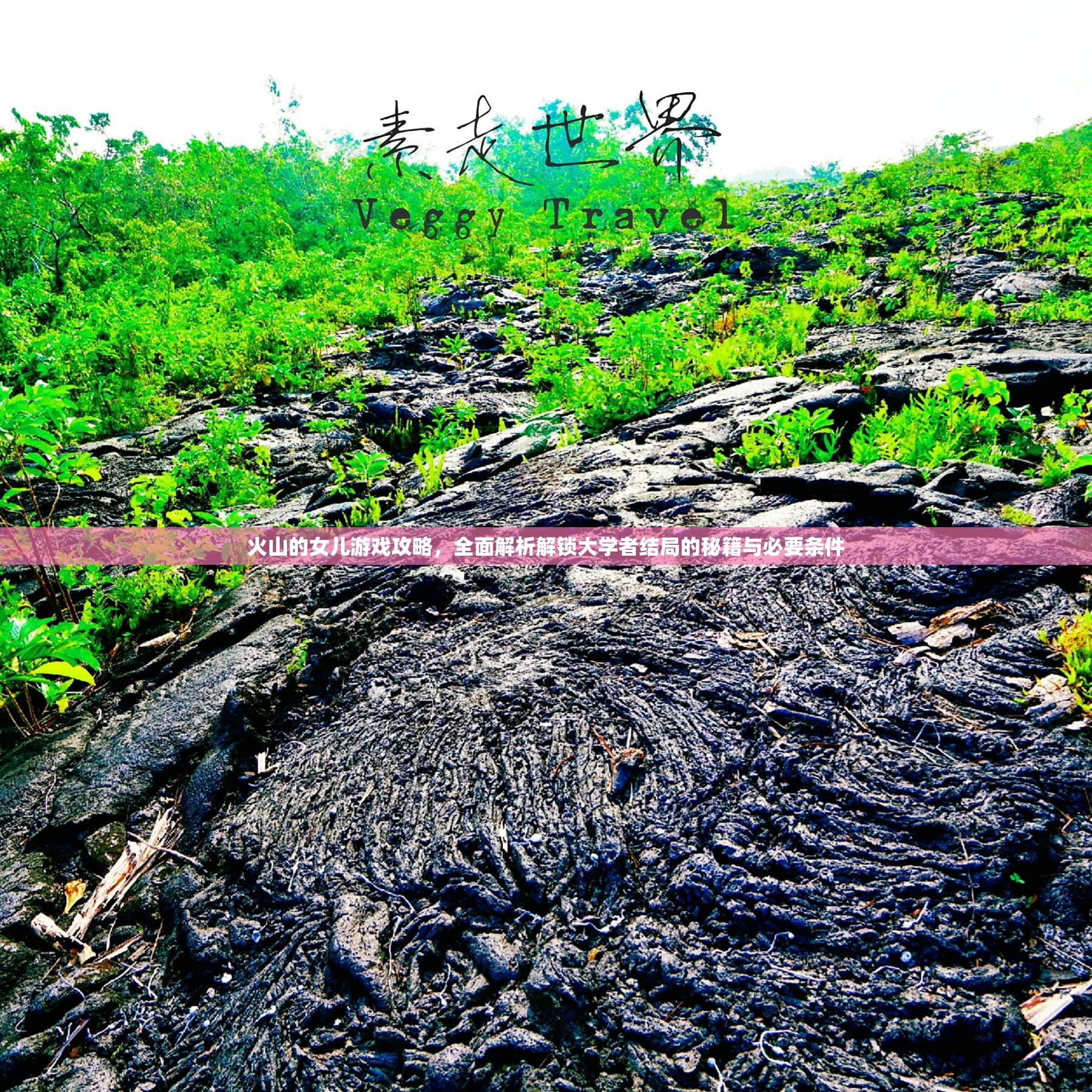 火山的女儿游戏攻略，全面解析解锁大学者结局的秘籍与必要条件