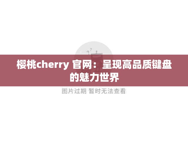 樱桃cherry 官网：呈现高品质键盘的魅力世界