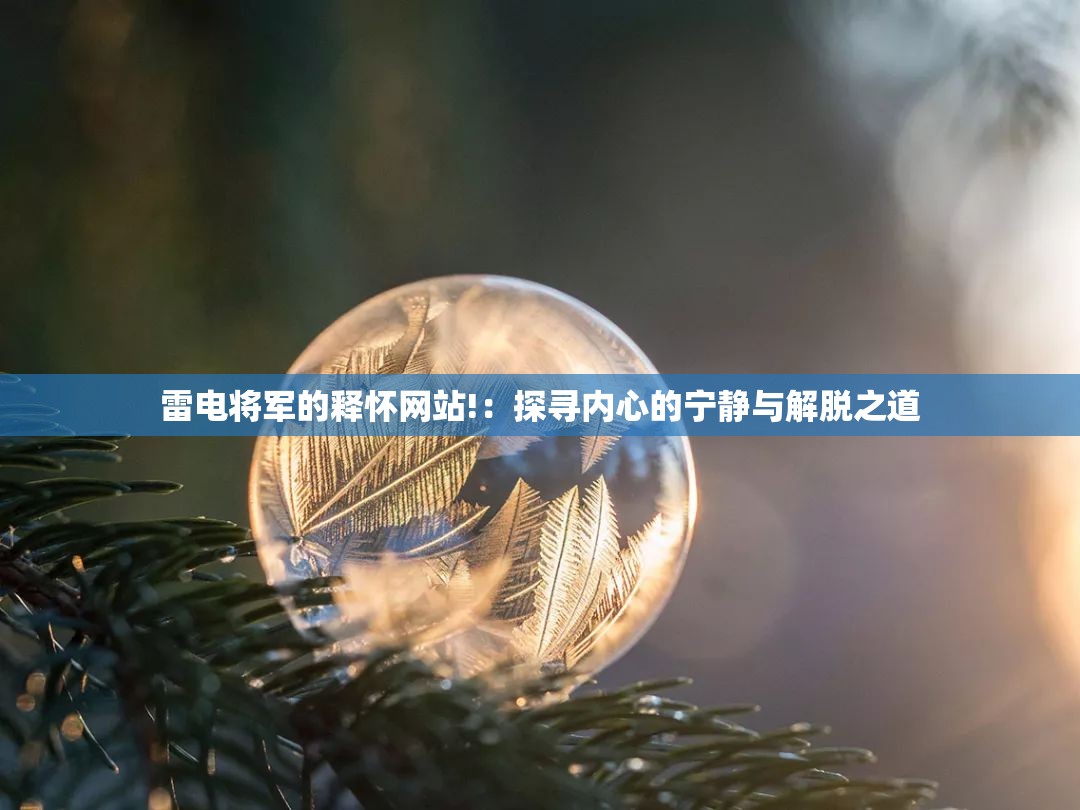 雷电将军的释怀网站!：探寻内心的宁静与解脱之道