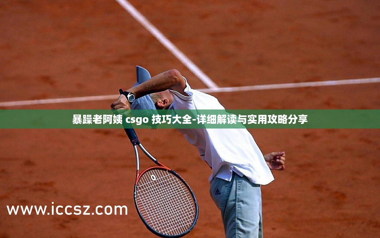 暴躁老阿姨 csgo 技巧大全-详细解读与实用攻略分享