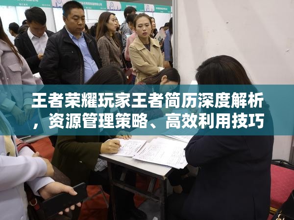 王者荣耀玩家王者简历深度解析，资源管理策略、高效利用技巧与价值最大化途径