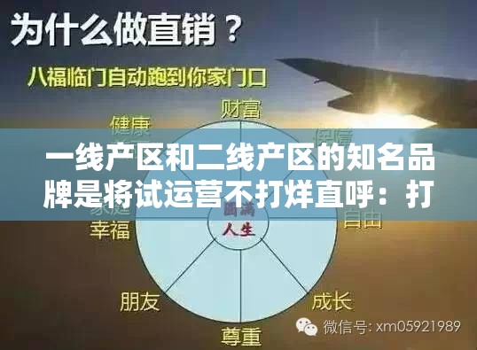 一线产区和二线产区的知名品牌是将试运营不打烊直呼：打造全新模式开启未来之路