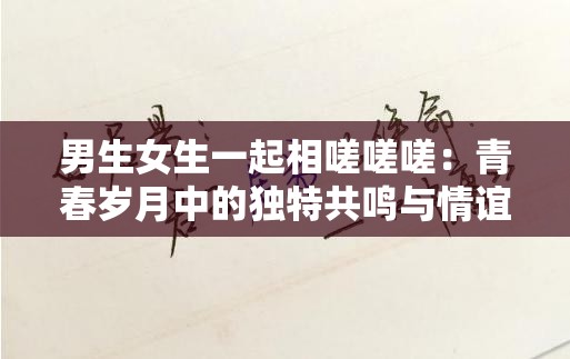 男生女生一起相嗟嗟嗟：青春岁月中的独特共鸣与情谊