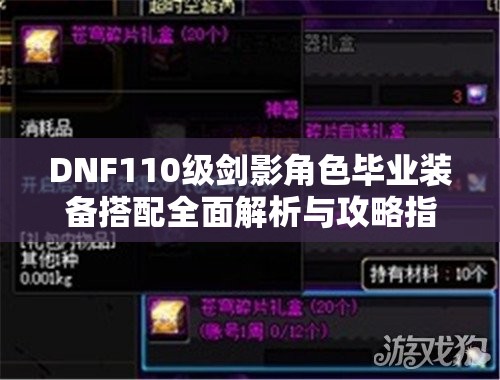 DNF110级剑影角色毕业装备搭配全面解析与攻略指南