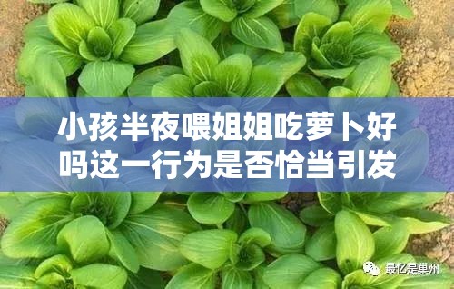 小孩半夜喂姐姐吃萝卜好吗这一行为是否恰当引发思考