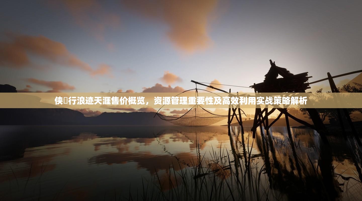 侠乂行浪迹天涯售价概览，资源管理重要性及高效利用实战策略解析