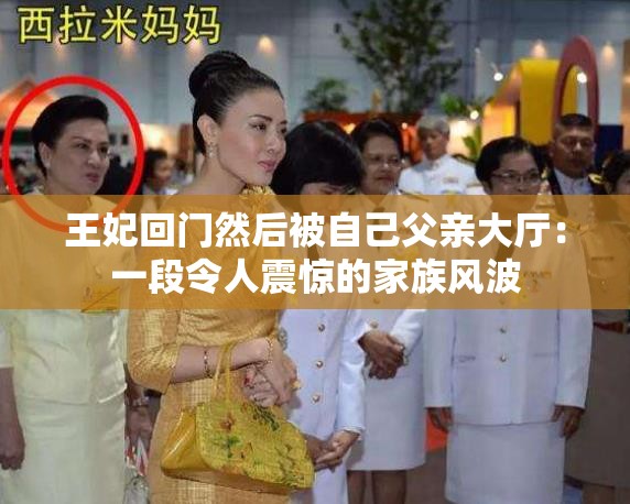 王妃回门然后被自己父亲大厅：一段令人震惊的家族风波