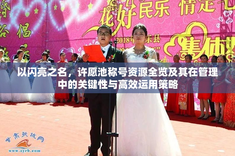 以闪亮之名，许愿池称号资源全览及其在管理中的关键性与高效运用策略