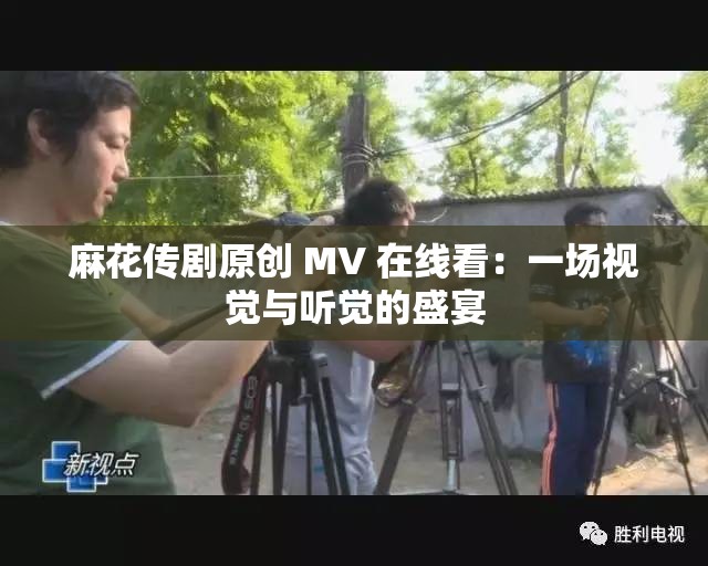 麻花传剧原创 MV 在线看：一场视觉与听觉的盛宴