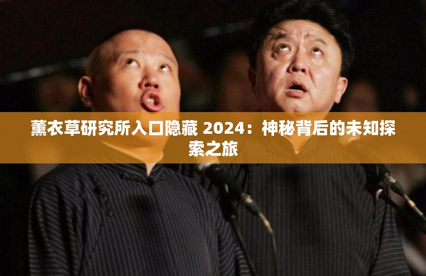 薰衣草研究所入口隐藏 2024：神秘背后的未知探索之旅