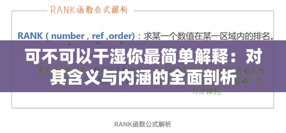 可不可以干湿你最简单解释：对其含义与内涵的全面剖析