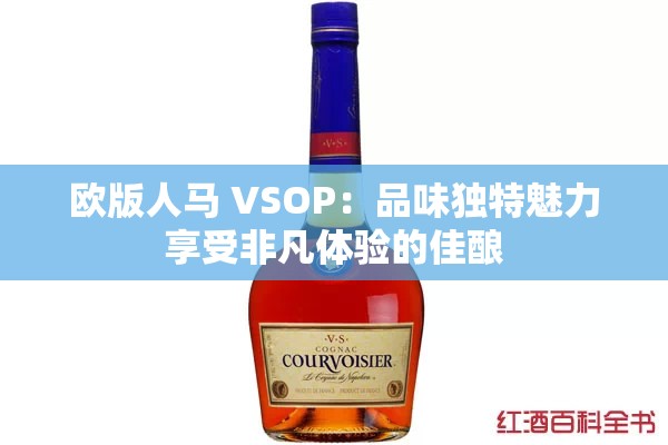 欧版人马 VSOP：品味独特魅力享受非凡体验的佳酿