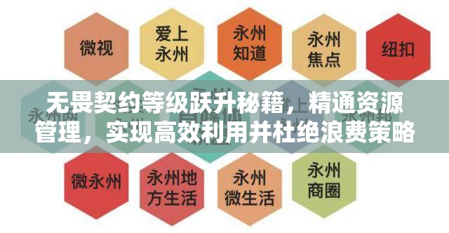 无畏契约等级跃升秘籍，精通资源管理，实现高效利用并杜绝浪费策略