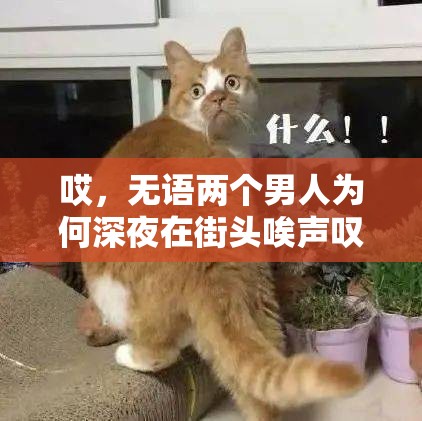 哎，无语两个男人为何深夜在街头唉声叹气