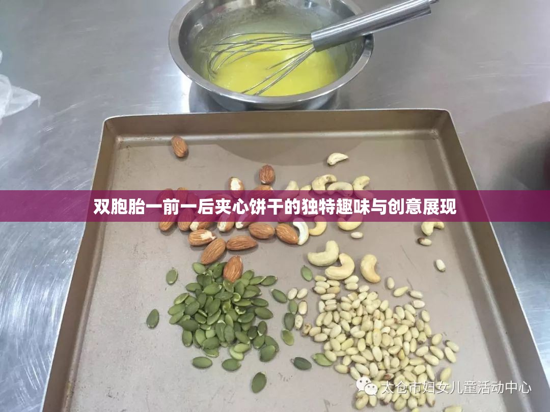 双胞胎一前一后夹心饼干的独特趣味与创意展现