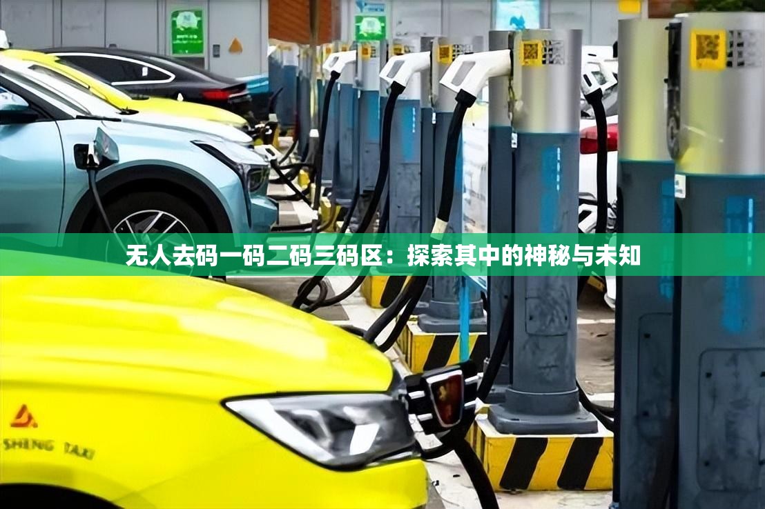 无人去码一码二码三码区：探索其中的神秘与未知
