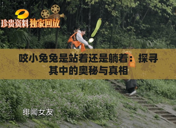 咬小兔兔是站着还是躺着：探寻其中的奥秘与真相