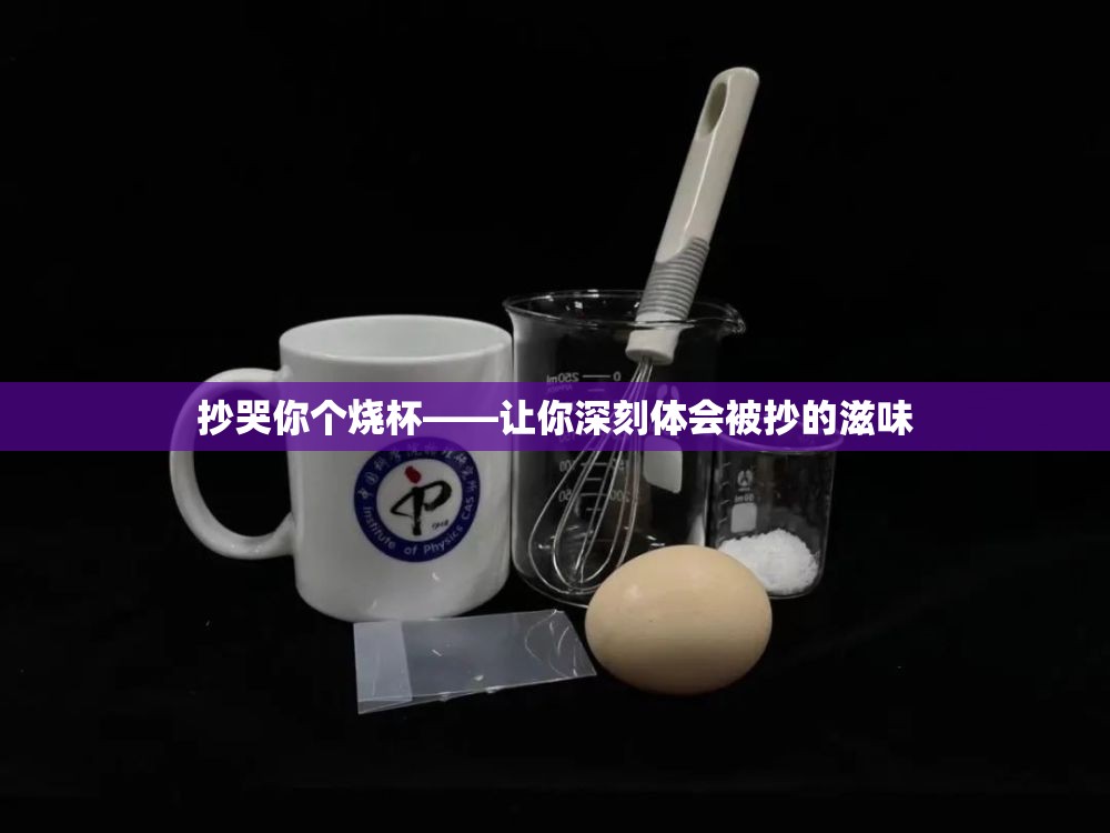 抄哭你个烧杯——让你深刻体会被抄的滋味