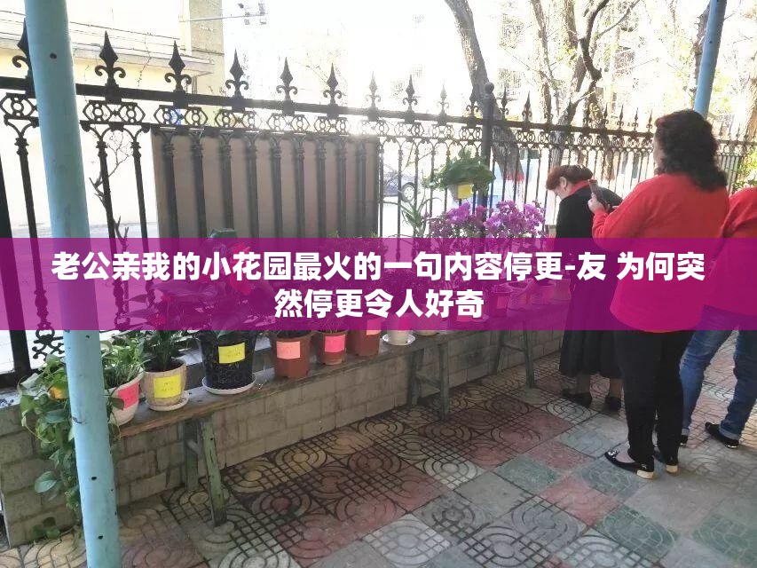 老公亲我的小花园最火的一句内容停更-友 为何突然停更令人好奇