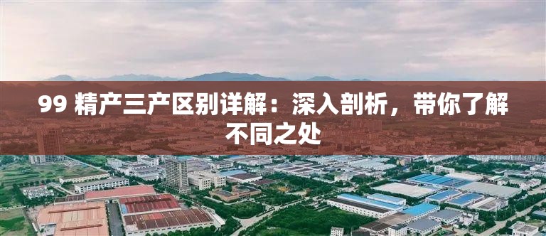 99 精产三产区别详解：深入剖析，带你了解不同之处