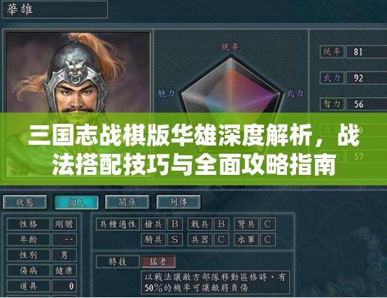 三国志战棋版华雄深度解析，战法搭配技巧与全面攻略指南