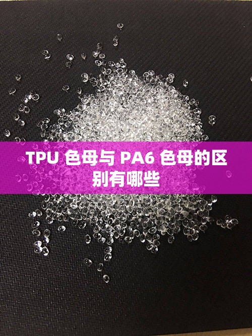 TPU 色母与 PA6 色母的区别有哪些