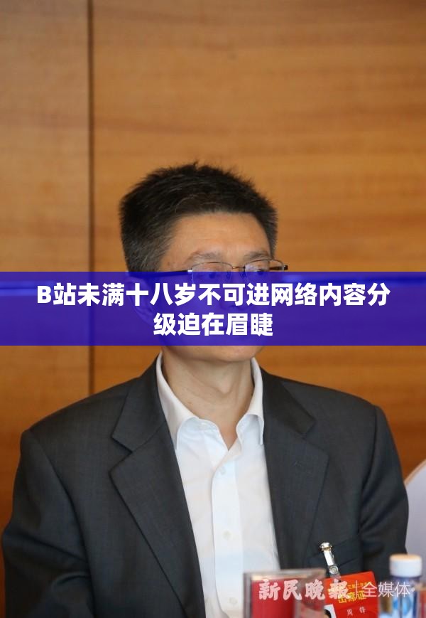 B站未满十八岁不可进网络内容分级迫在眉睫