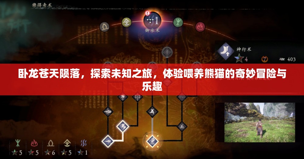 卧龙苍天陨落，探索未知之旅，体验喂养熊猫的奇妙冒险与乐趣