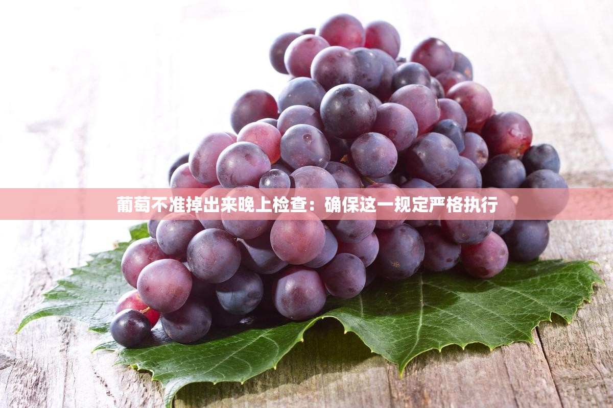 葡萄不准掉出来晚上检查：确保这一规定严格执行